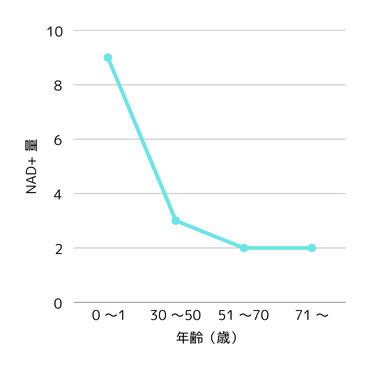 画像に alt 属性が指定されていません。ファイル名: image.png